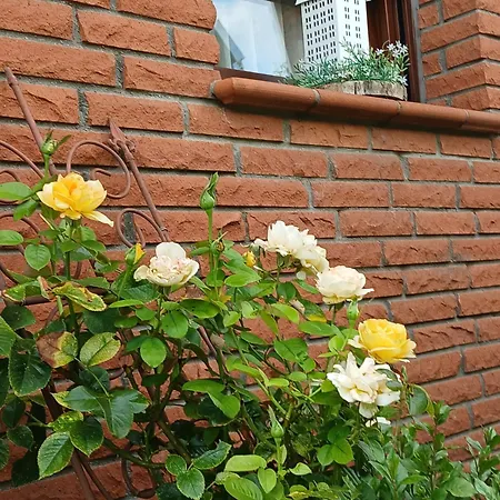 Apartman Hohenbergblick Annweiler am Trifels